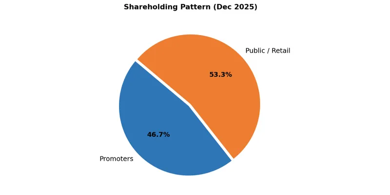 Shareholding Pattern as of December 2025